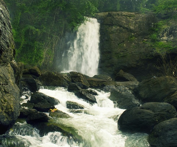 Best resorts in Wayanad
