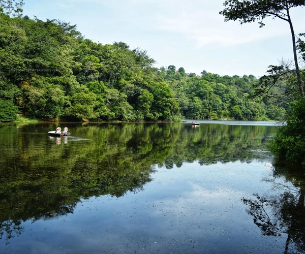 Resorts in Wayanad for family